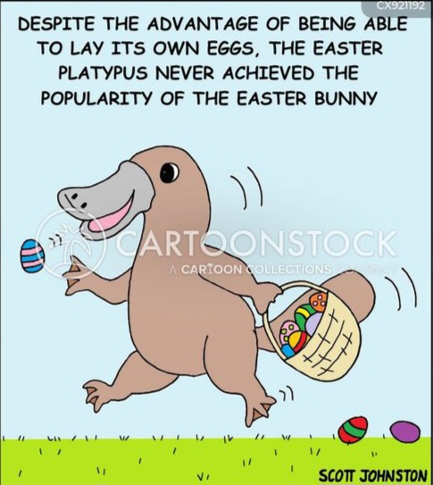 food-drink-easter-bunny-easter-time-bunny-rabbit-platypus-CX921192-low.jpg