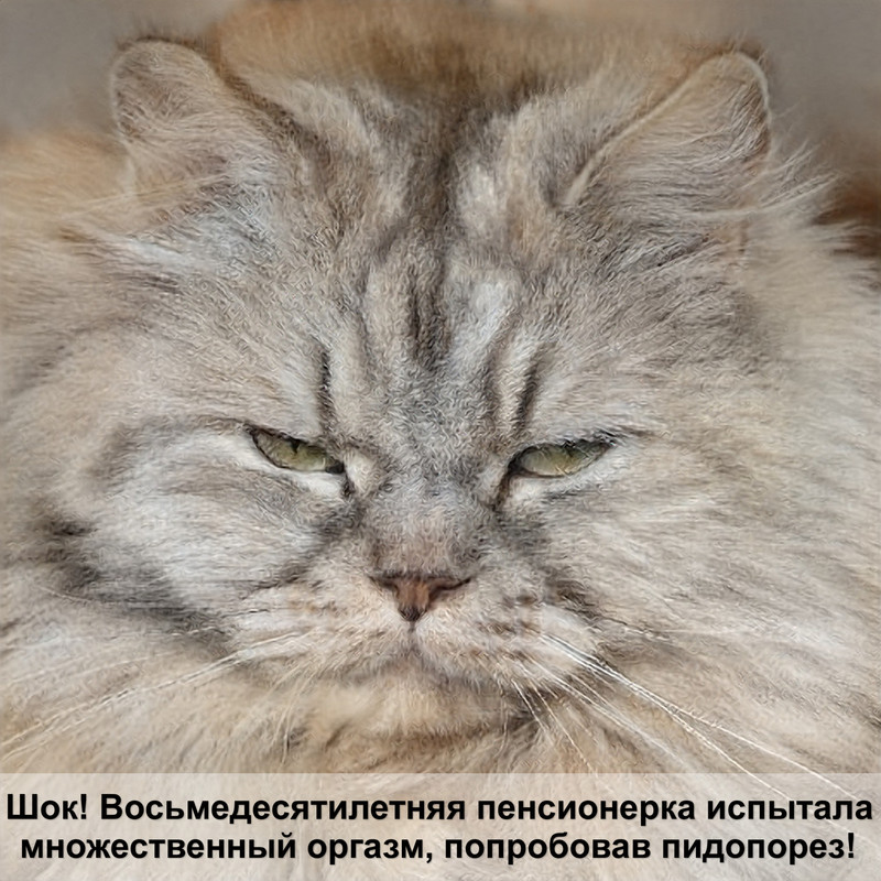 кошка лысеет от блох