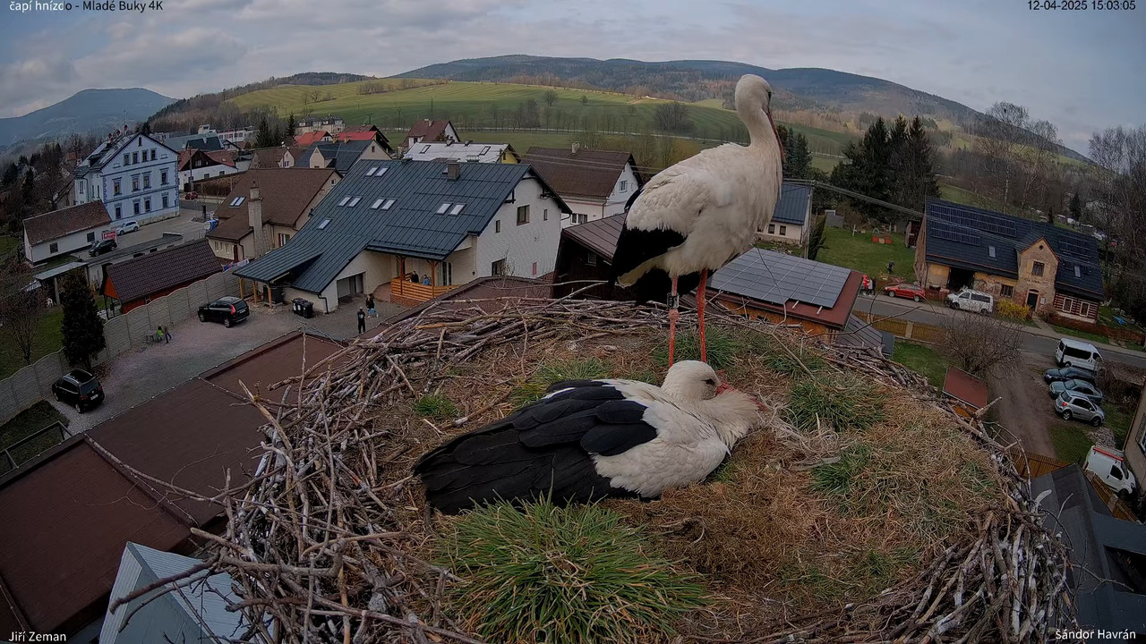 Tiešraides kamera — Mladé Buky — stārķa ligzda 4K 11-23-0 screenshot