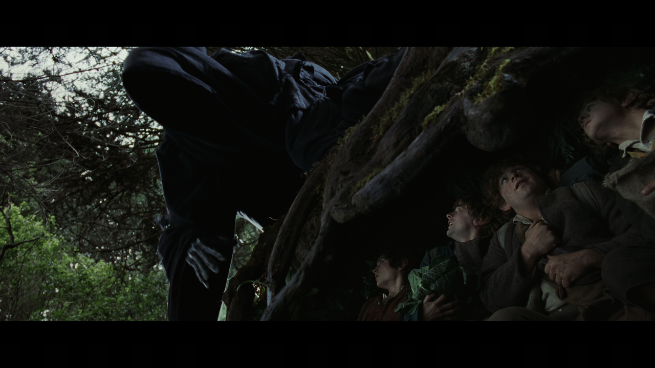 The Lord of the Rings- The Fellowship of the Ring (EXT.) PT. 1.mkv_snapshot_00.54.17_[2020.12.05_22.