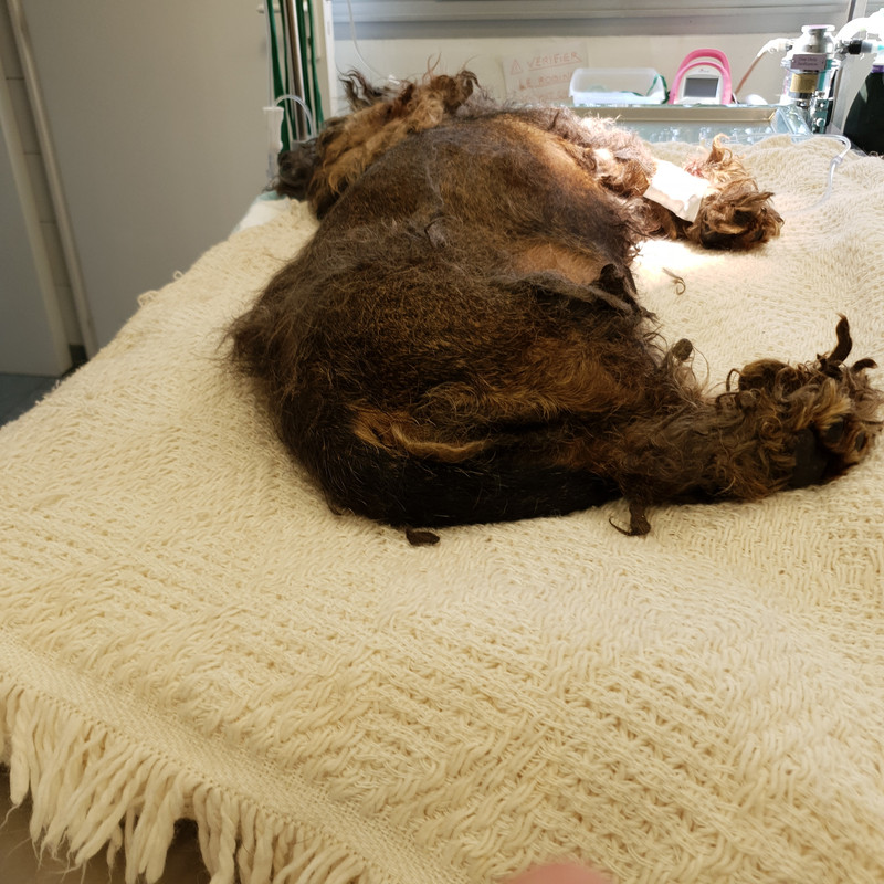 [Image: 20210603-192502.jpg]