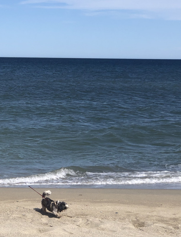 [Image: 7-C83-C358-6-E7-E-434-B-88-BE-9-C3-DDB7-BE9-CE.jpg]