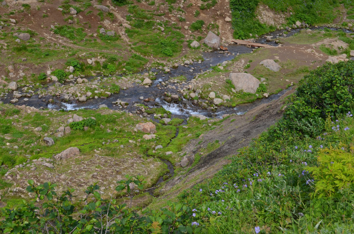 DSC-6708.jpg
