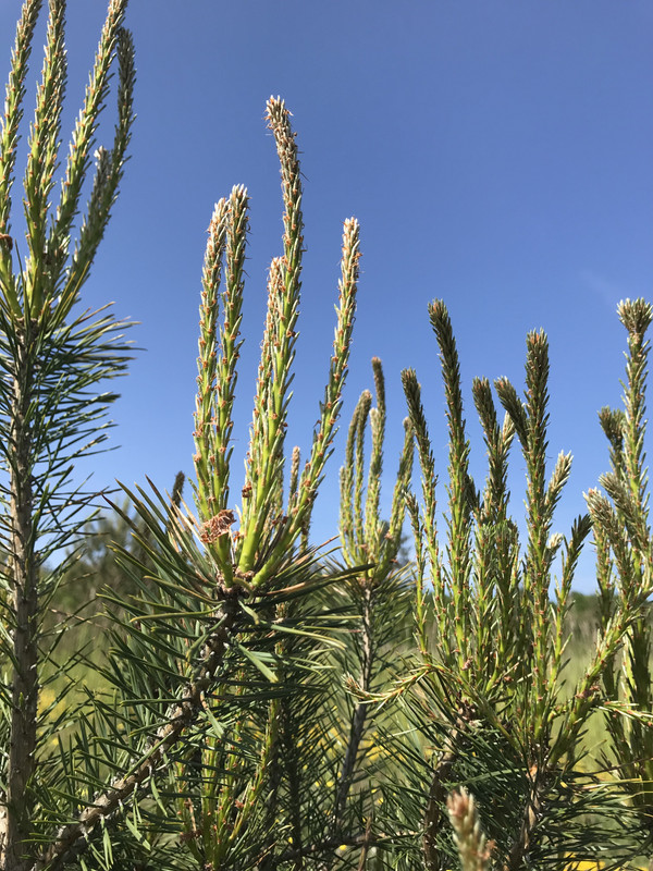 743DF8F7-7938-4FF0-AD21-83B877718B94