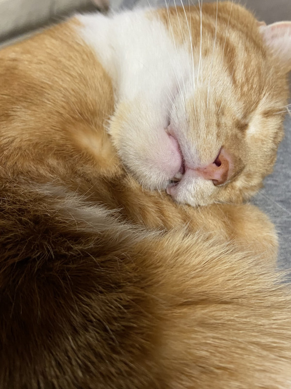 E5D0EA77-E684-47BD-BE05-BF2344CA6E63