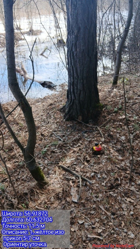 photo 1 2026 04 05 12 38 11