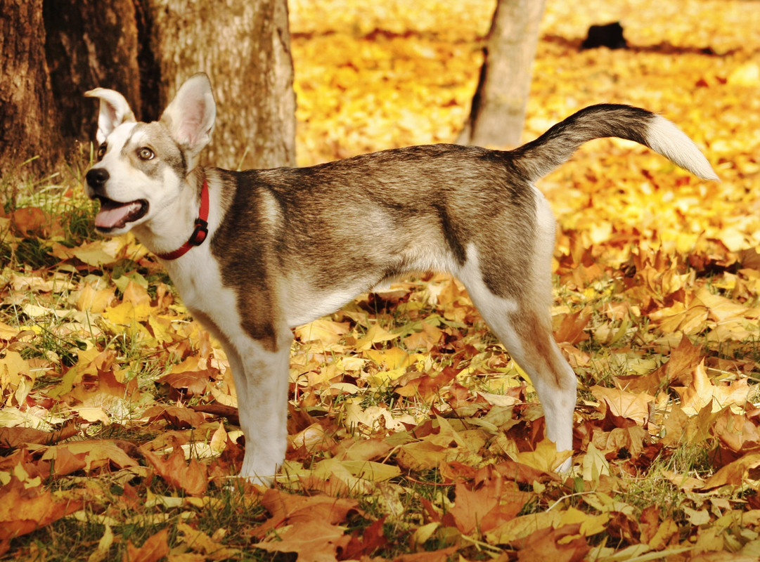 A8028E4F-2A8C-4330-BA12-24B642225503