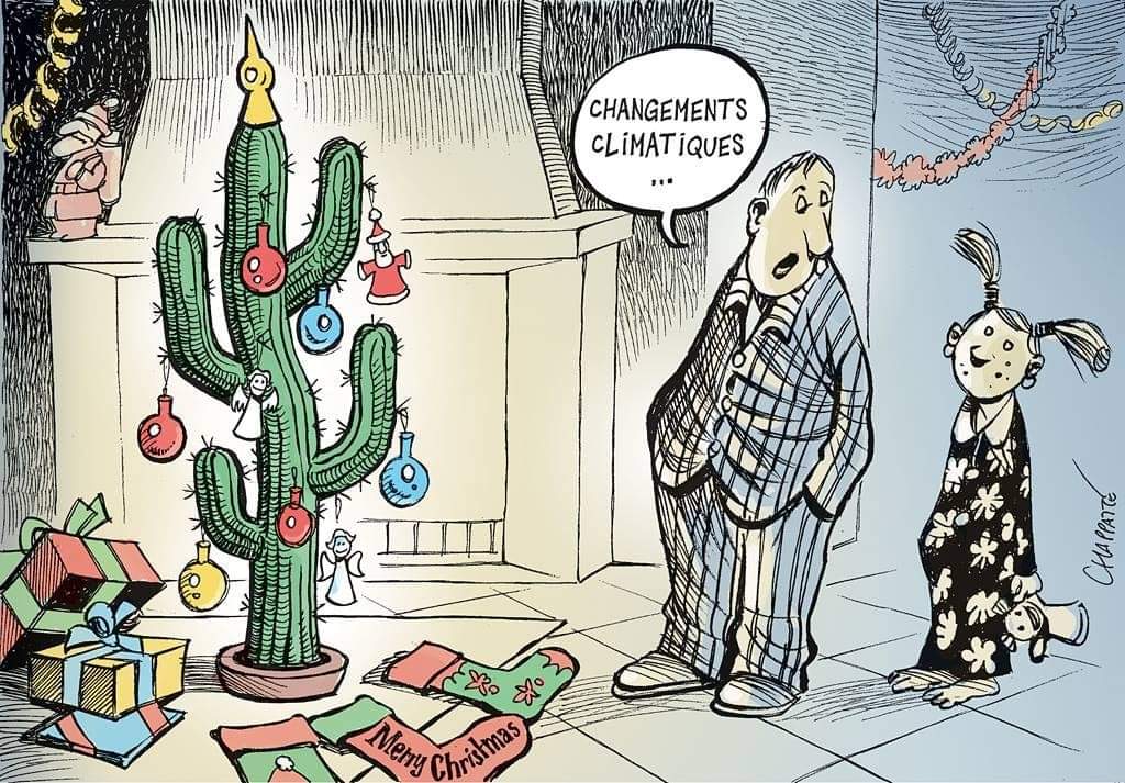 1-sapin.jpg