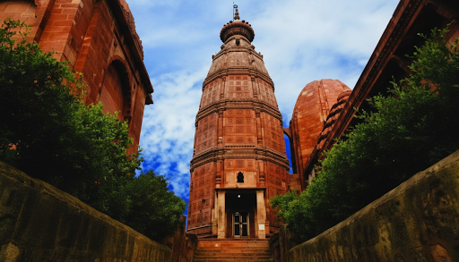 Festivals Celebrated at Madan Mohan Temple