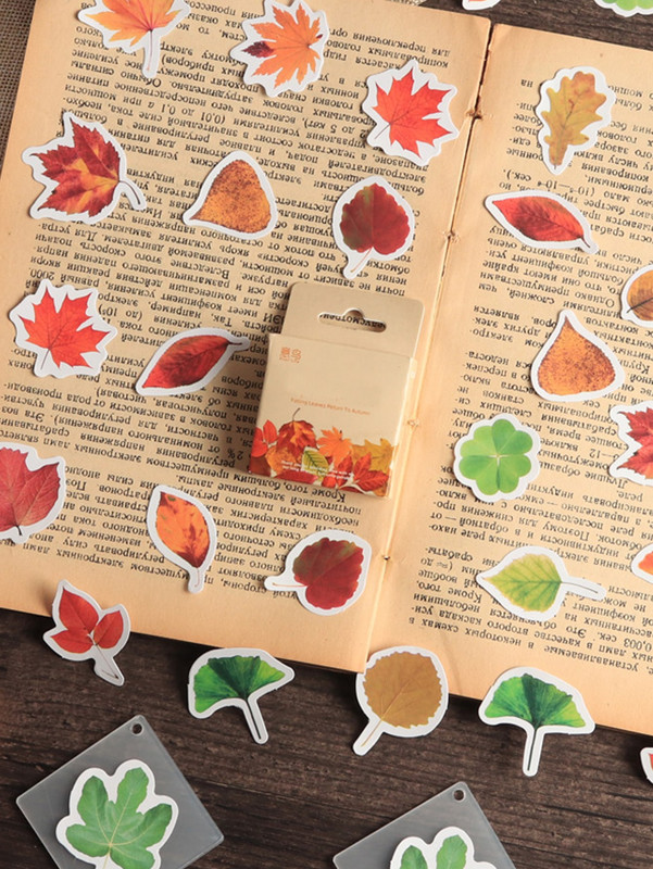 6mblb4gy329xd9ajb4i4oetze