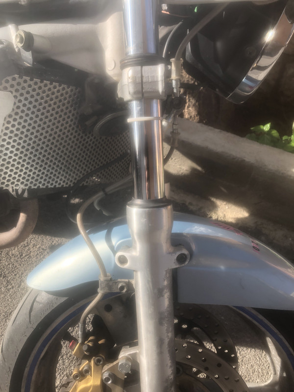 7D333E7C-7282-4D55-A775-32066D6D292F