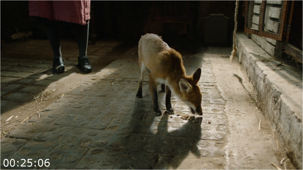 [Image: fvx7n1kpjm29.png]