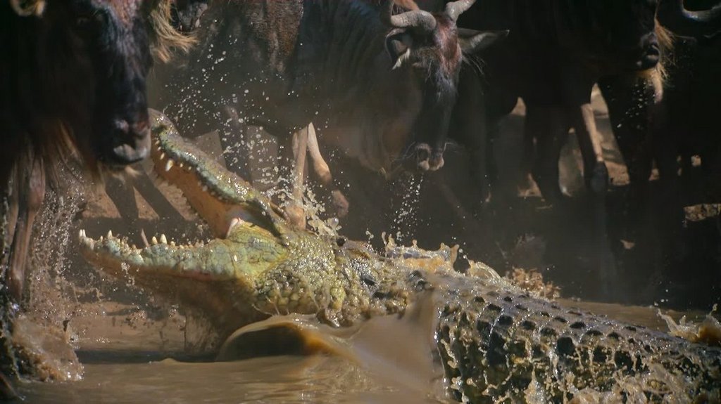 [Image: q3zz0ob94adh.jpg]