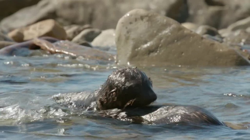 [Image: 0atgf6qbo17z.jpg]