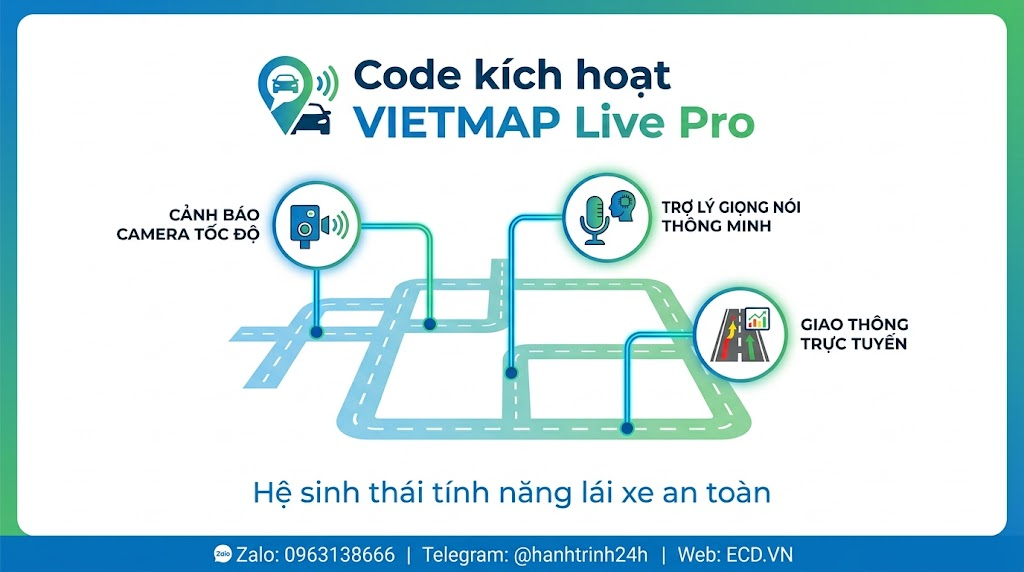 vietmap pro code active