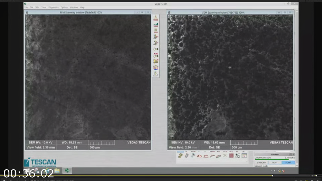 [Image: ofk042qjisj7.png]