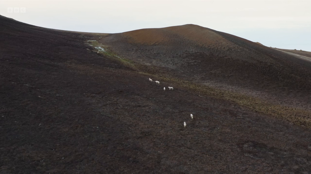 [Image: 80jaav72slag.png]