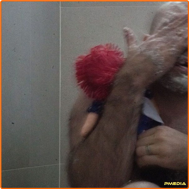 [Image: o1emzitv2o96.png]