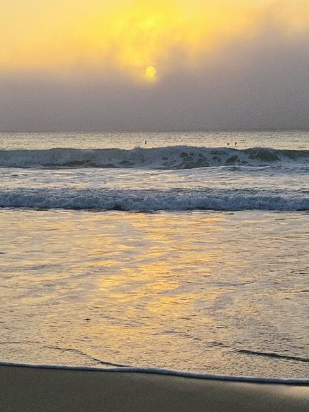 В джазе только девушки или аргентинско-бразильский калейдоскоп В джазе только девушки или аргентинско-бразильский калейдоскоп