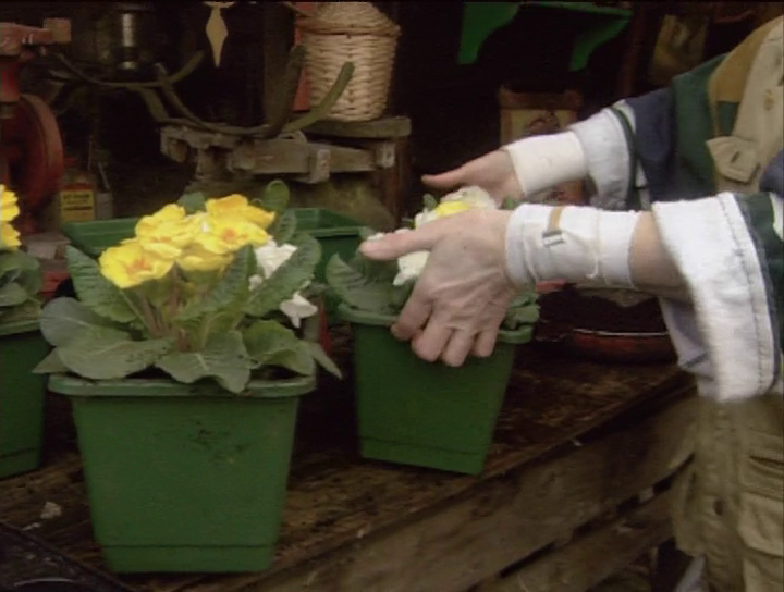 [Image: h5p9gpy5ooo5.png]