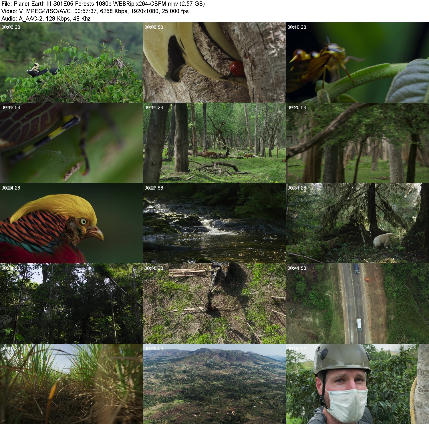 [Image: y76a05zziwrt.jpg]