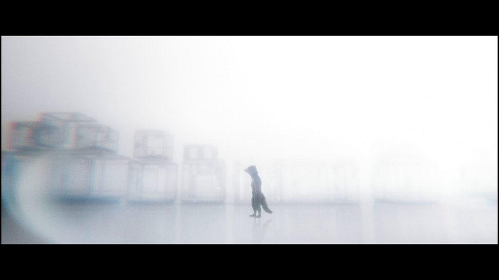 wvgibv0p9w40.png
