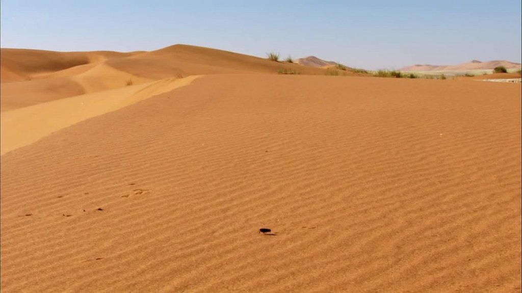 [Image: ds9c1uekdu81.jpg]