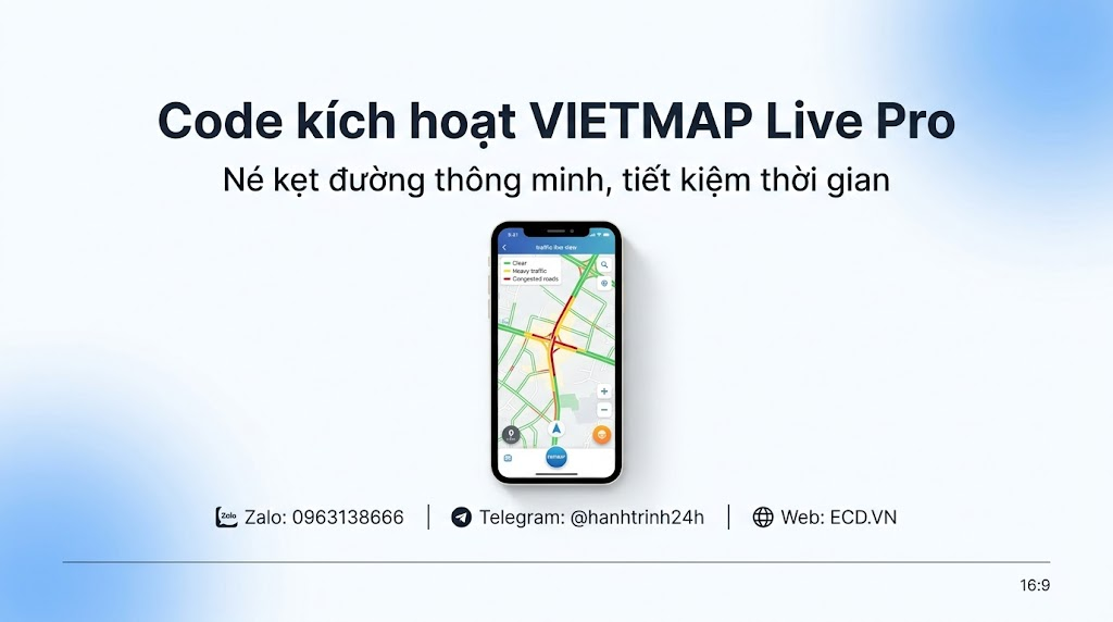 vietmap pro active 3 year