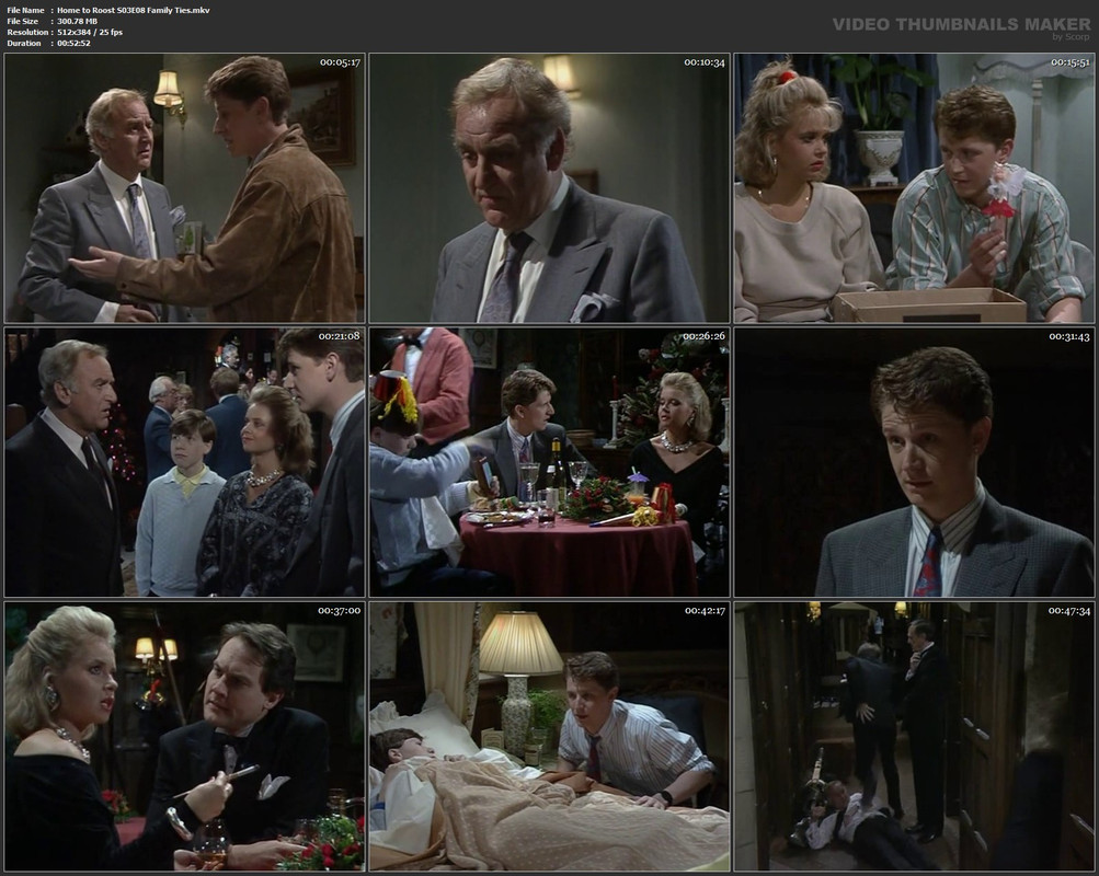 Home to Roost S03E08 Family Ties.mkv