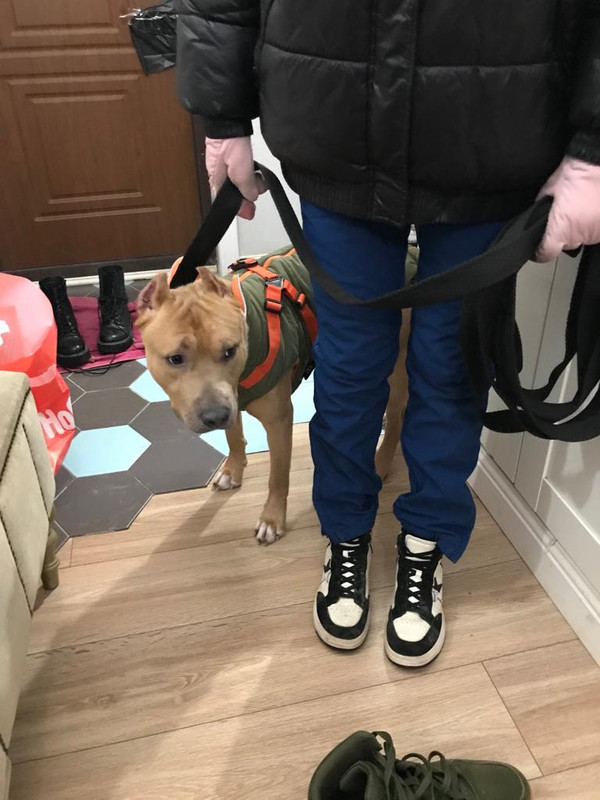 B36A6096-3F8B-4E52-966B-CF0D88FBC580