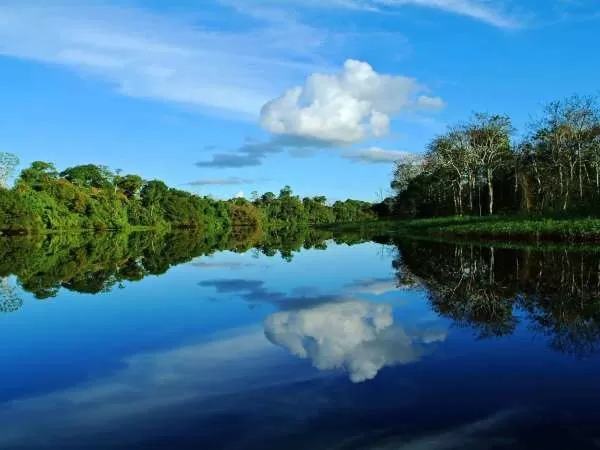 [صورة: amazon-river-facts-10462-10-1706258837.webp]