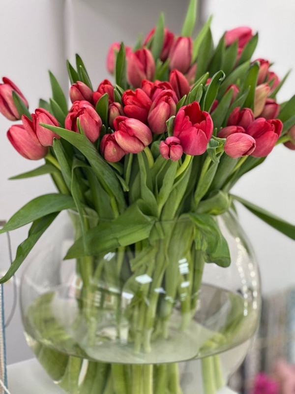 666363596-2824241644583285-254079536994514179-n