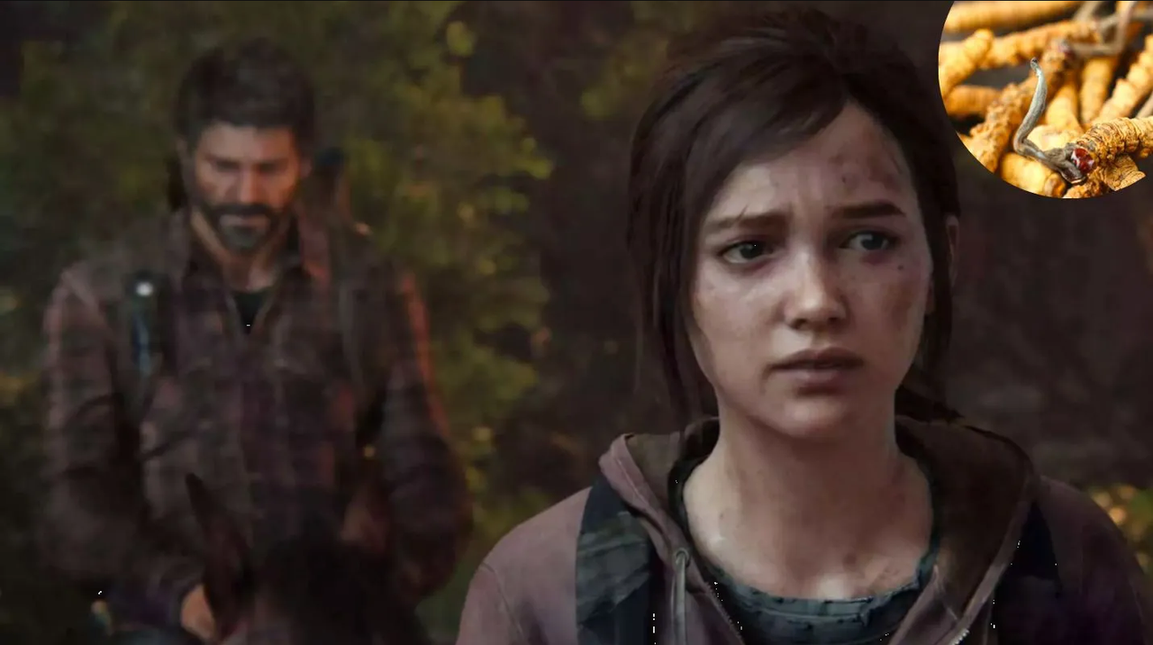 Este es el 'Cordyceps', hongo que causó epidemia zombie en 'The Last of Us'