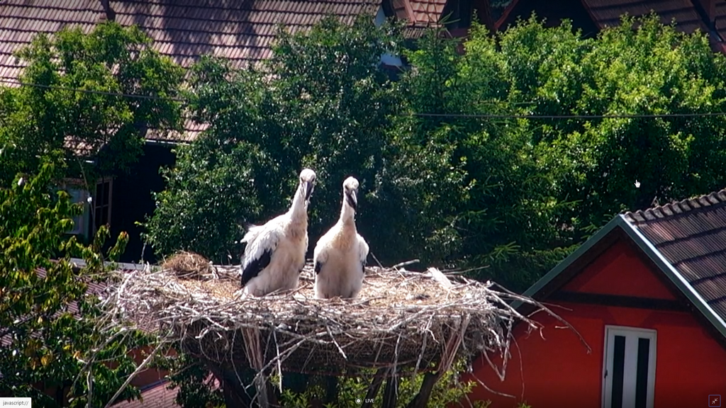 2019-06-30 15_00_10-Greenshot