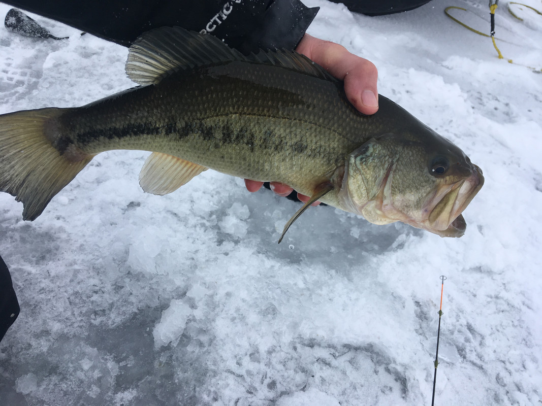 D86BF400-5FD5-420B-B3C7-34DDBBE8766A