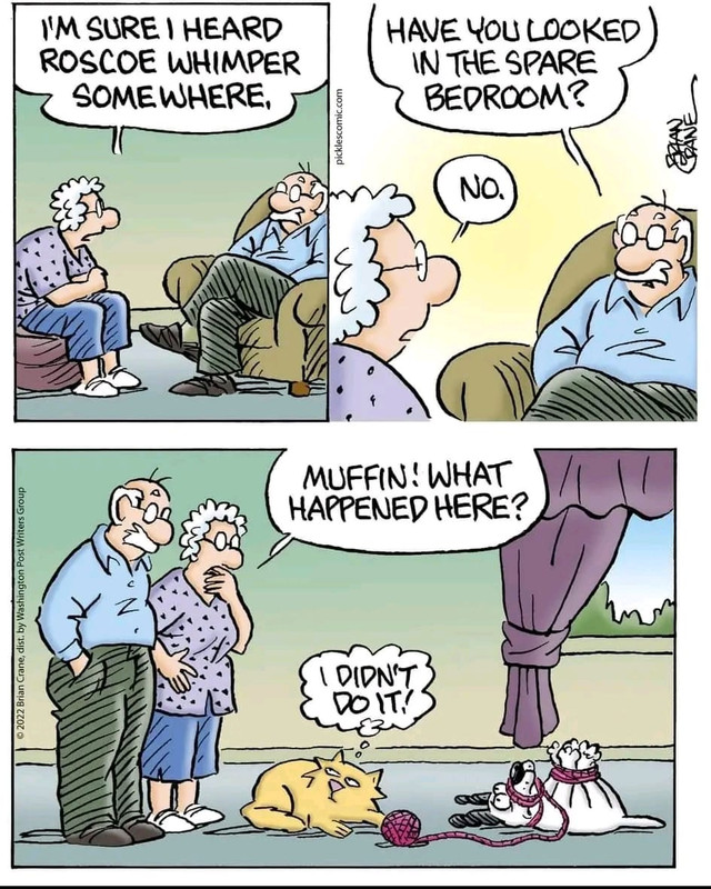 384756622_276896178595171_534083890132010299_n (1)