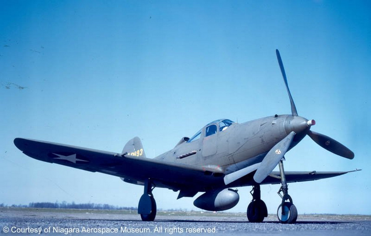 IMG_1528