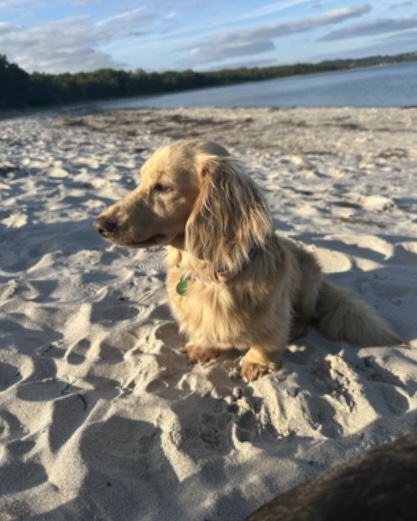 [Image: IMG-7250.jpg]