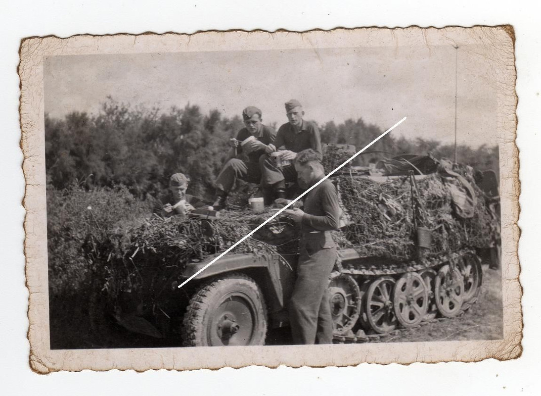 Panzer Halbkette SdKfz mit Büschen getarnt