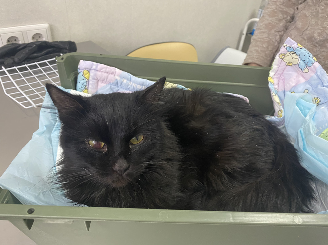 ACE5FDA4-840A-4288-B73D-AD370DCCDB20