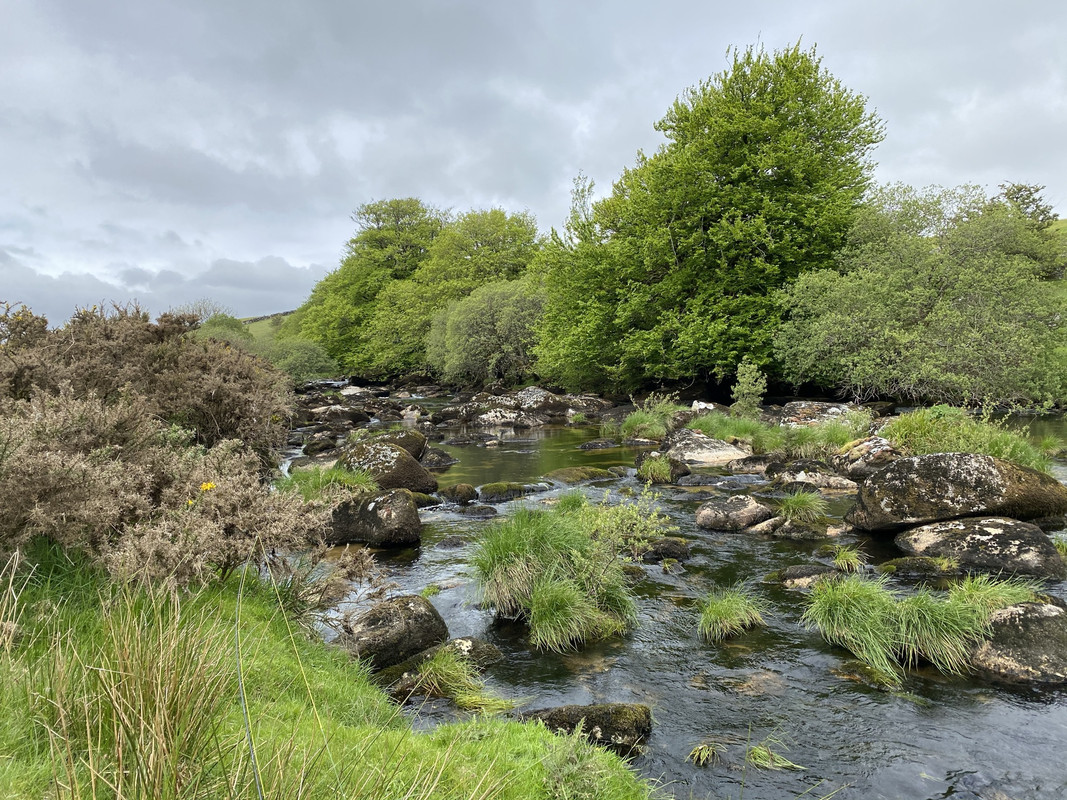 F0F9F2B6-8350-4C59-940D-914EA2329796