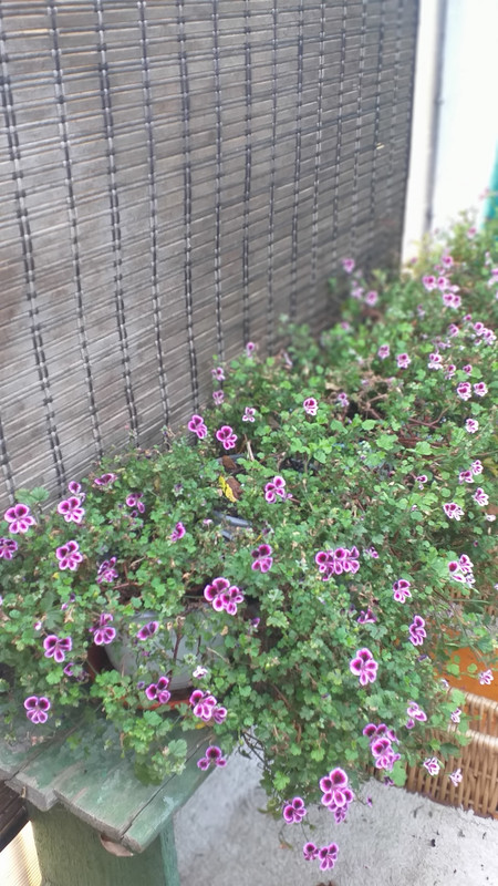 358053565_10227006719011325_3900782538377368345_n