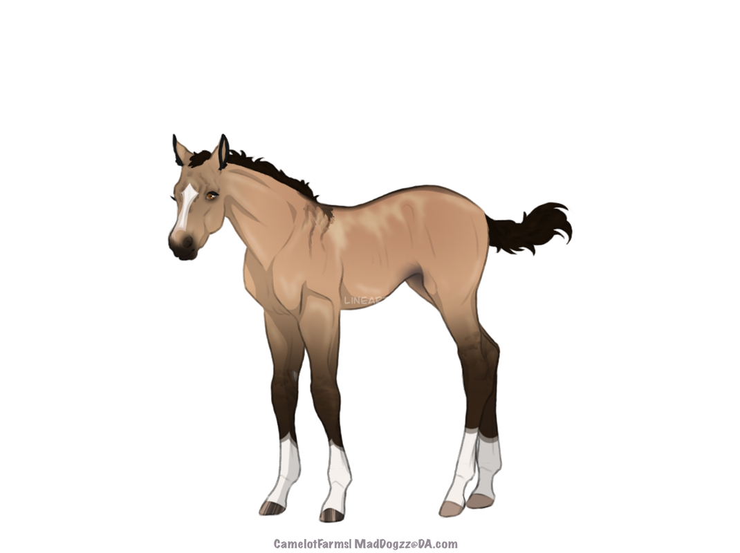 37C15237-C80A-48B9-88A9-8EFD8D212A2F