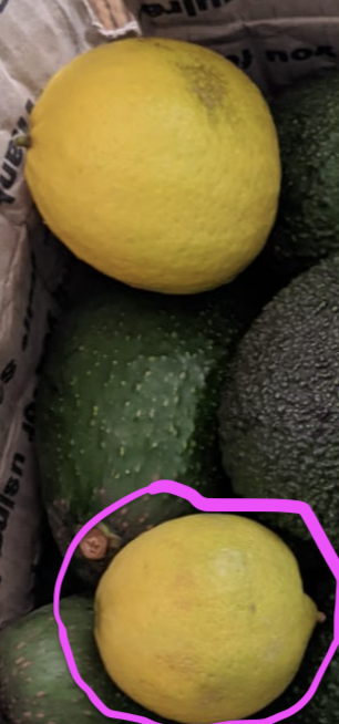 Screenshot 2026 01 10 at 11 00 15 AM