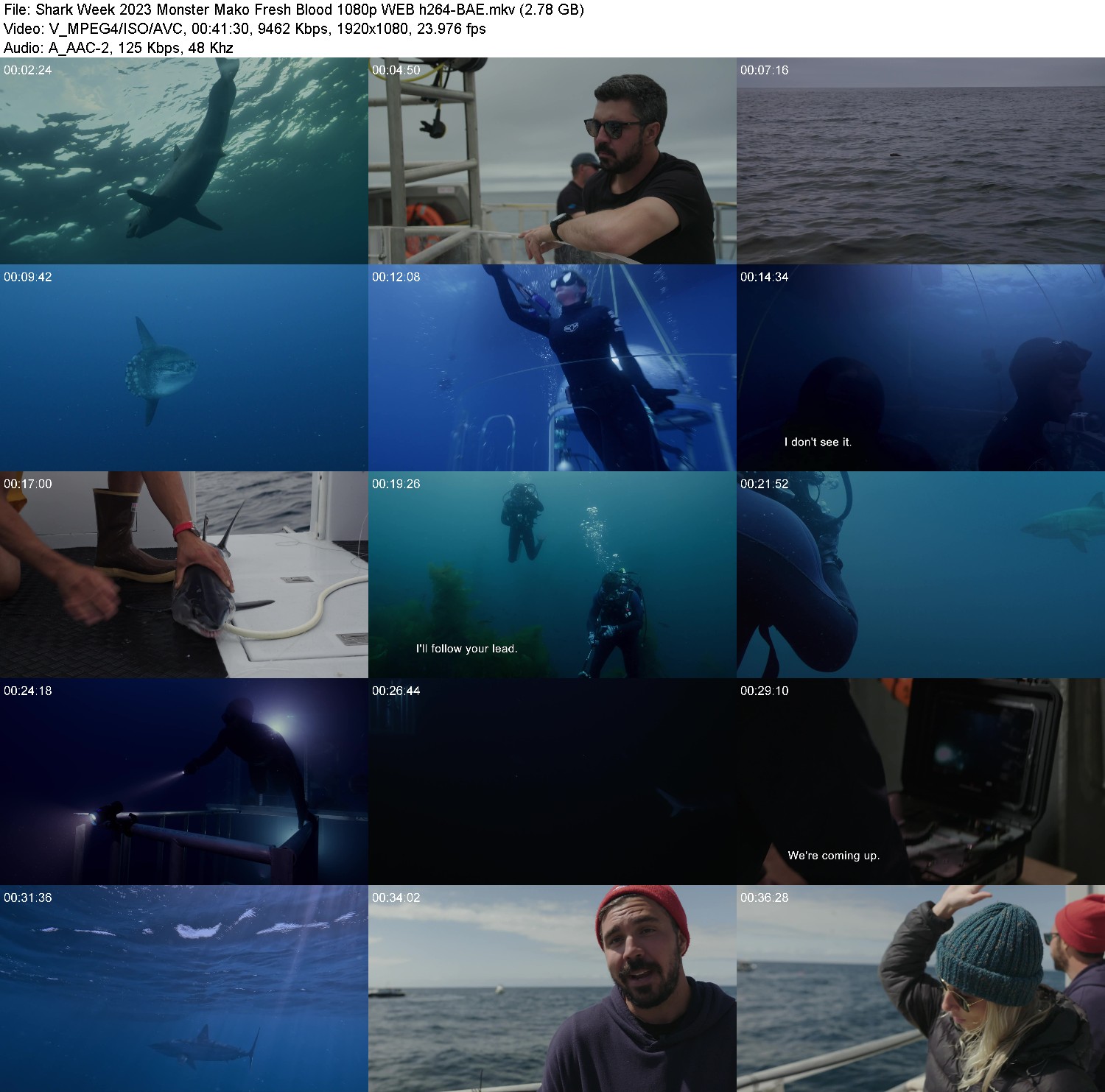 [Image: w2oz3p3lte5m.jpg]