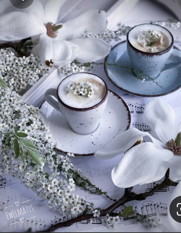 Screenshot_20230322_001153_Pinterest