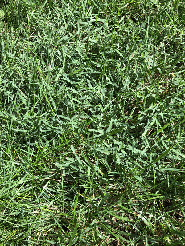 953618A0-87D7-4DD6-A073-15708E7AA186