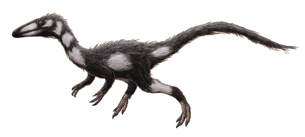 93ed26ddeca99e8dd7951f32c44c8ad9