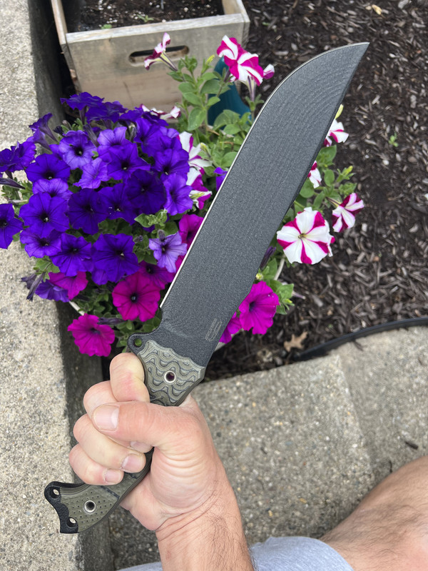 EF4BCF78-D4E9-4C4B-A329-EBB2C6B401C5