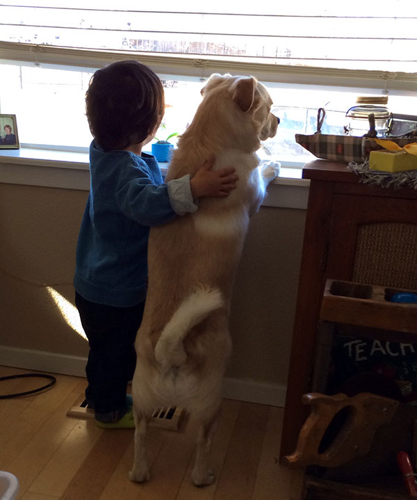 mans-best-friend-71